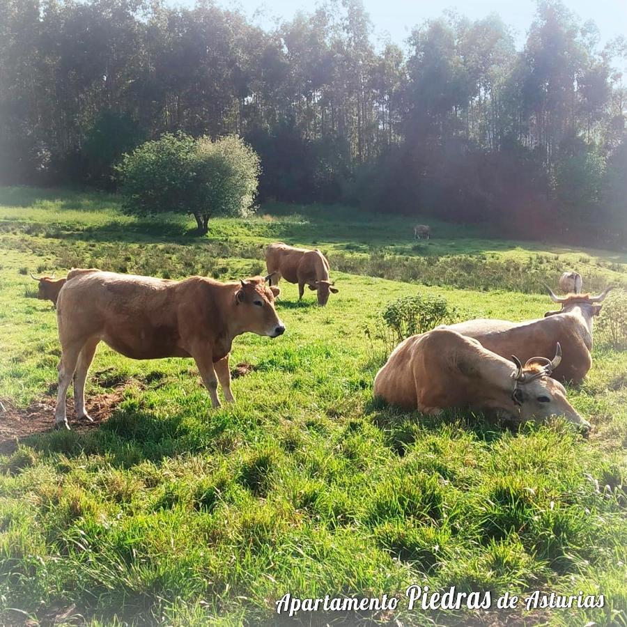 Piedras De Asturias Apartment เปียดราสบลังกาส ภายนอก รูปภาพ